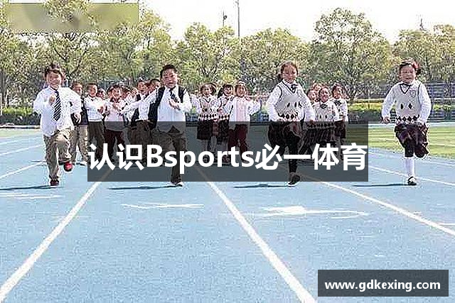 认识Bsports必一体育